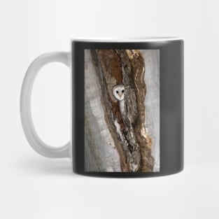 Barn Owl Peekaboo Mug